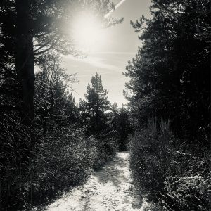 Chemin de montagne où si on se croise on se dit bonjour