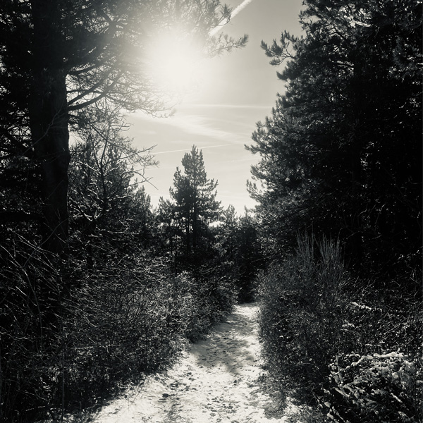 Chemin de montagne où si on se croise on se dit bonjour