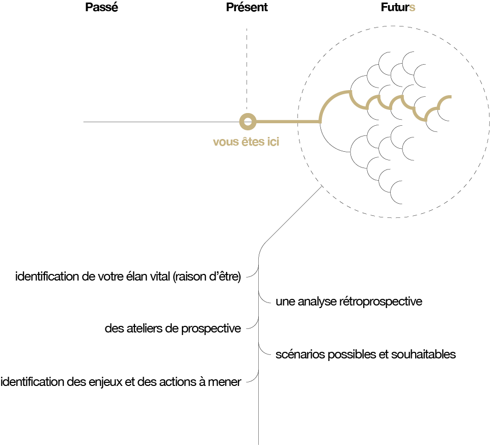 Schéma explicatif de la prospective